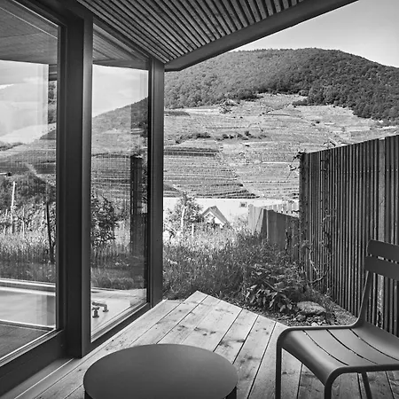 Riedenblick Spitz an der Donau