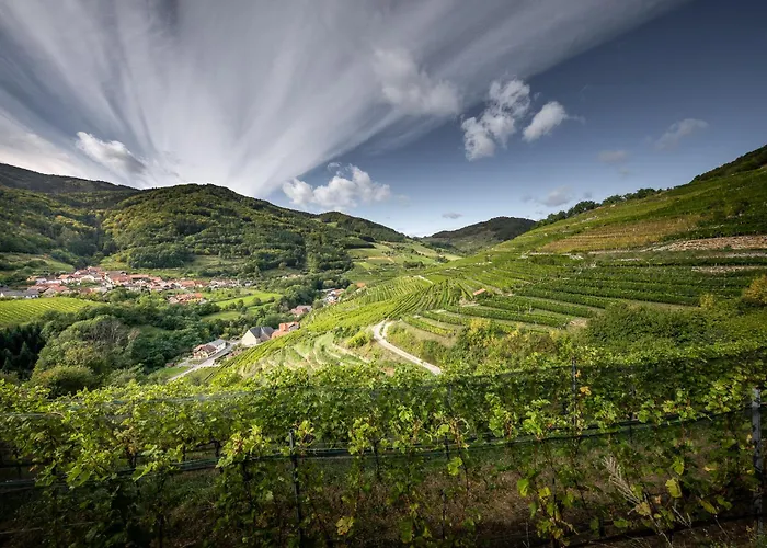 Appartement Riedenblick *